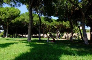 Turia Garden