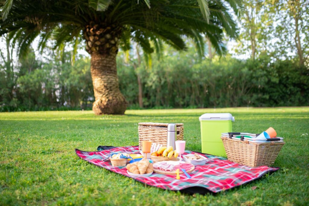 picnic Valencia